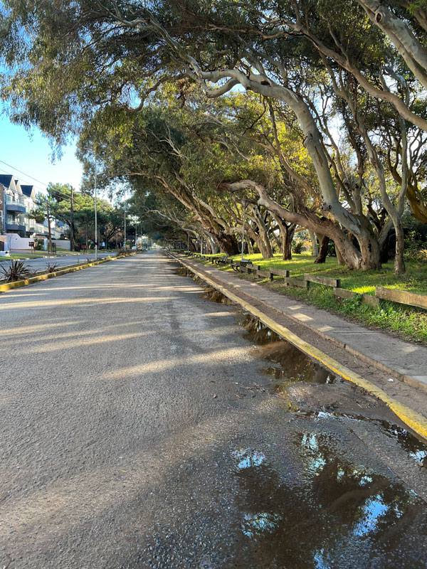 inmobiliaria-alfonso-la-lucila-del-mar-pavon-(2)